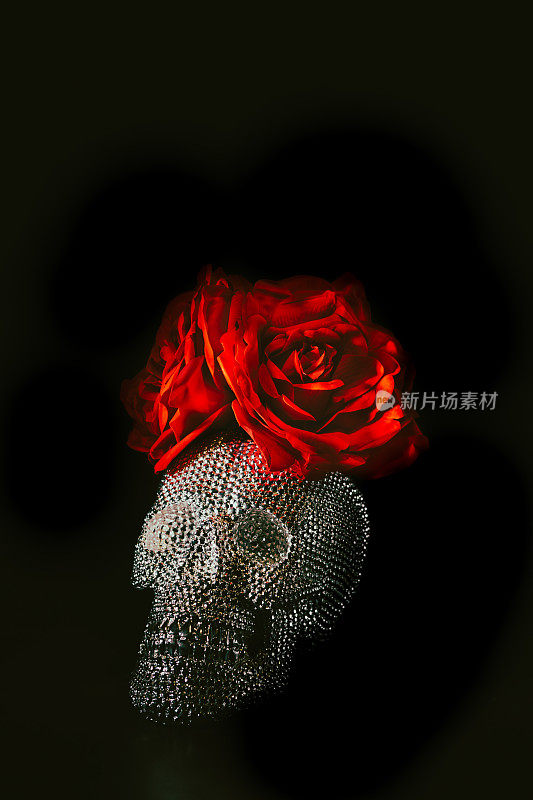 "亡灵节"庆祝活动。银色头骨，头上有两朵大的红玫瑰，背景是黑色的。